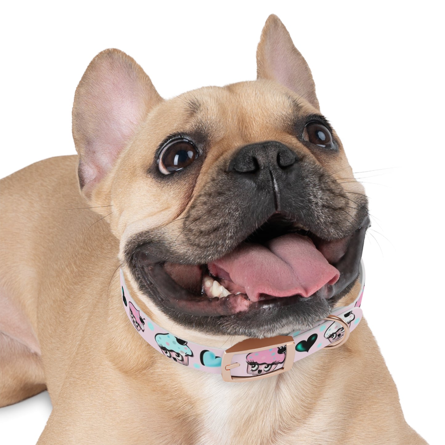 Cupcakes on Pink • Pet Collar