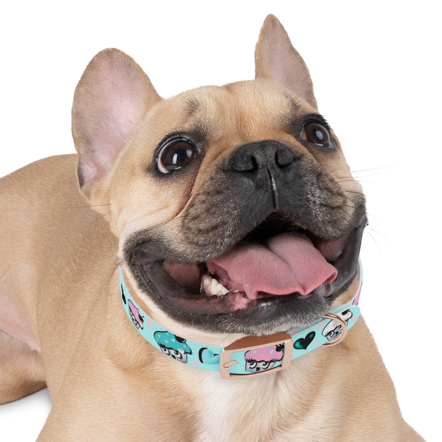 Cupcakes on Mint • Pet Collar