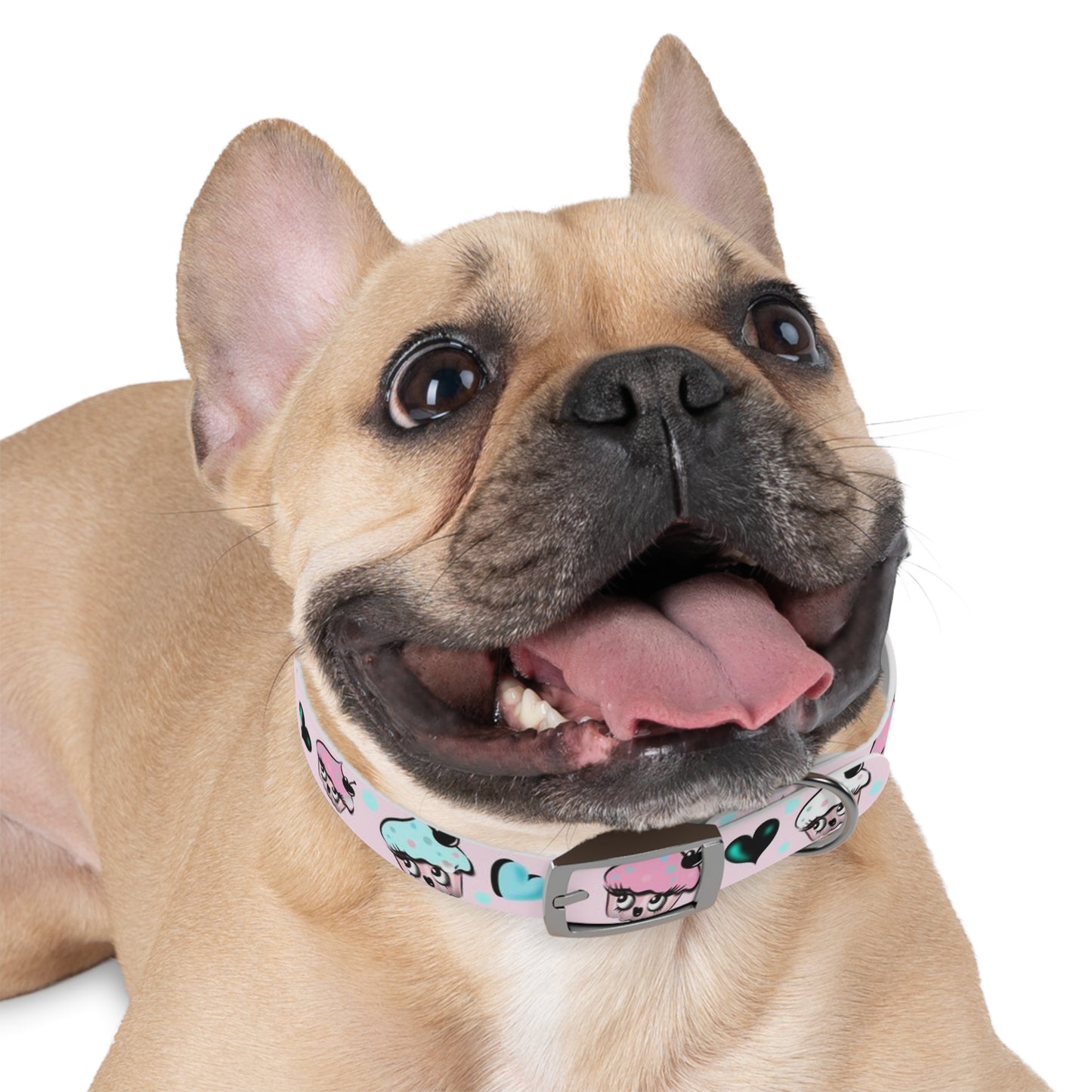 Cupcakes on Pink • Pet Collar