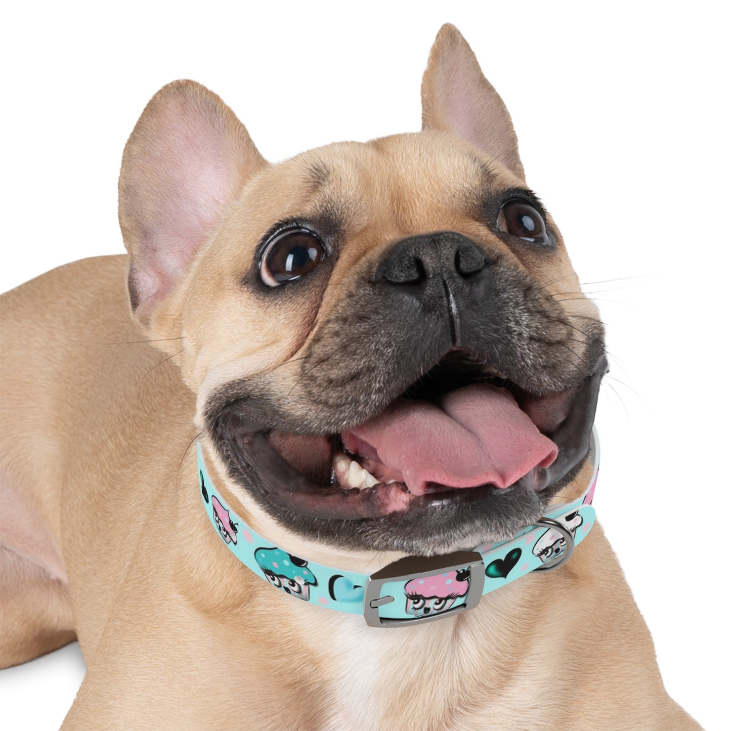 Cupcakes on Mint • Pet Collar