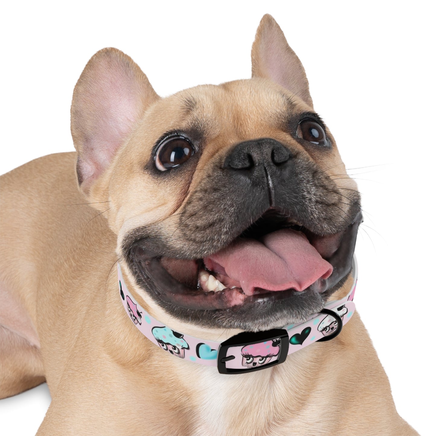 Cupcakes on Pink • Pet Collar