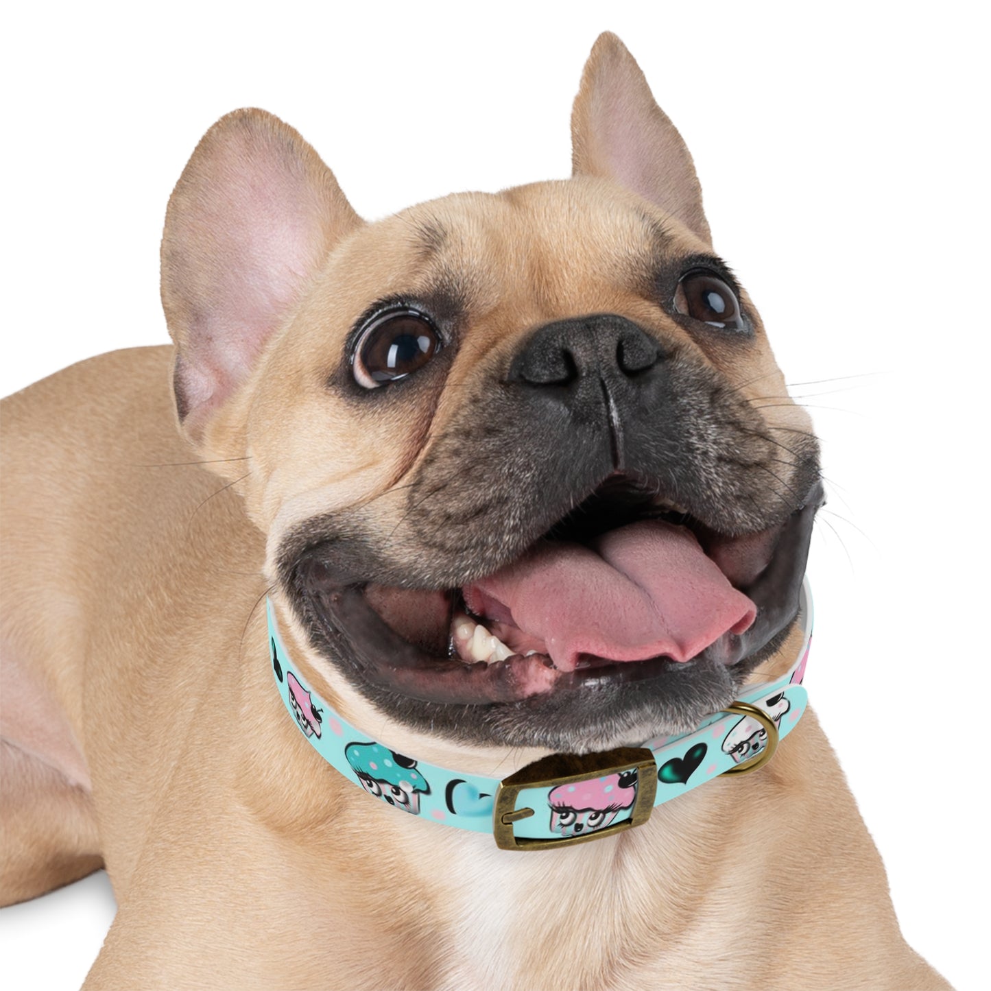Cupcakes on Mint • Pet Collar