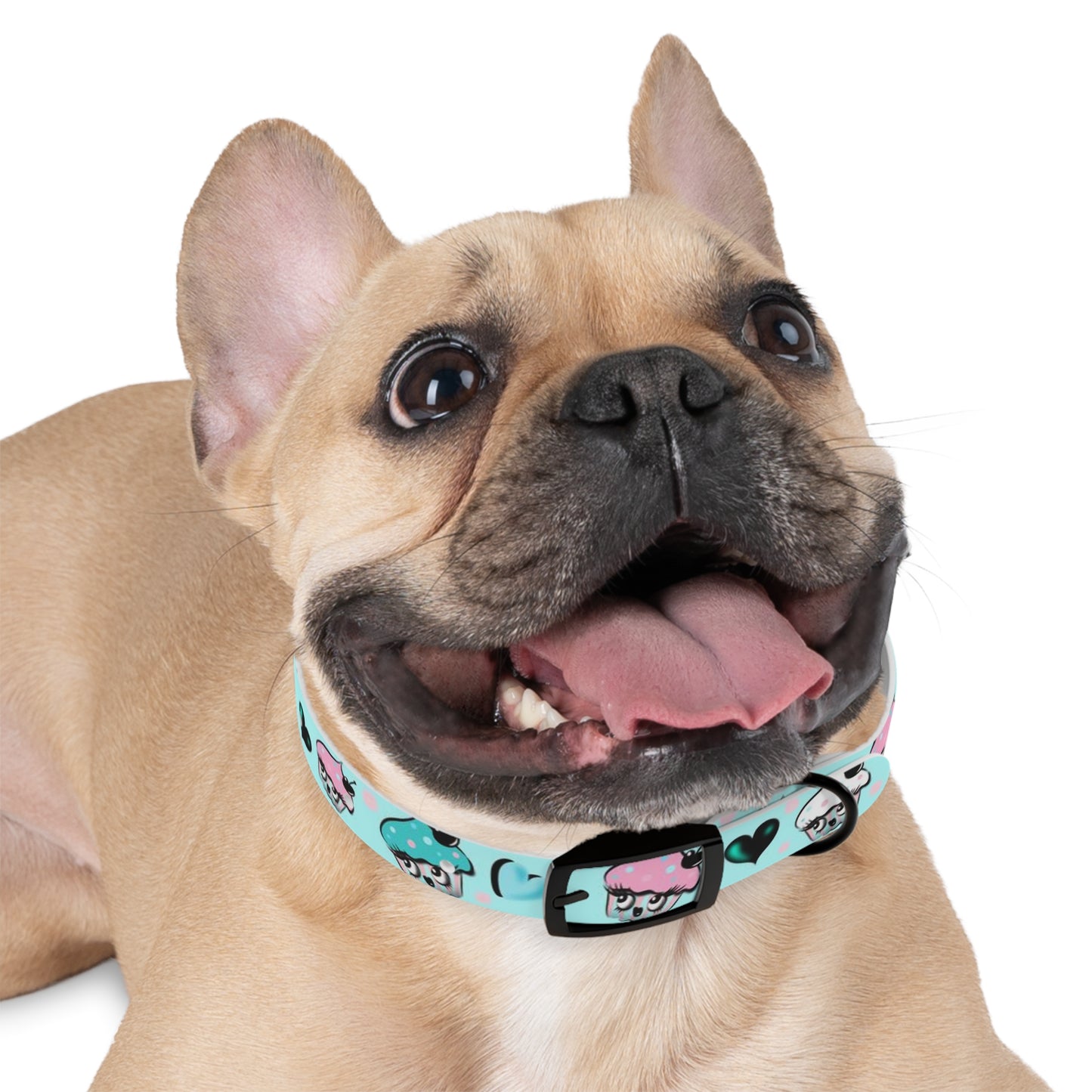 Cupcakes on Mint • Pet Collar