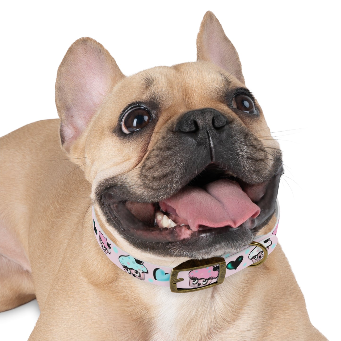 Cupcakes on Pink • Pet Collar