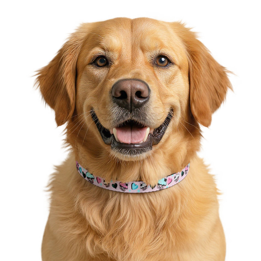 Cupcakes on Pink • Clip-on Pet Collar