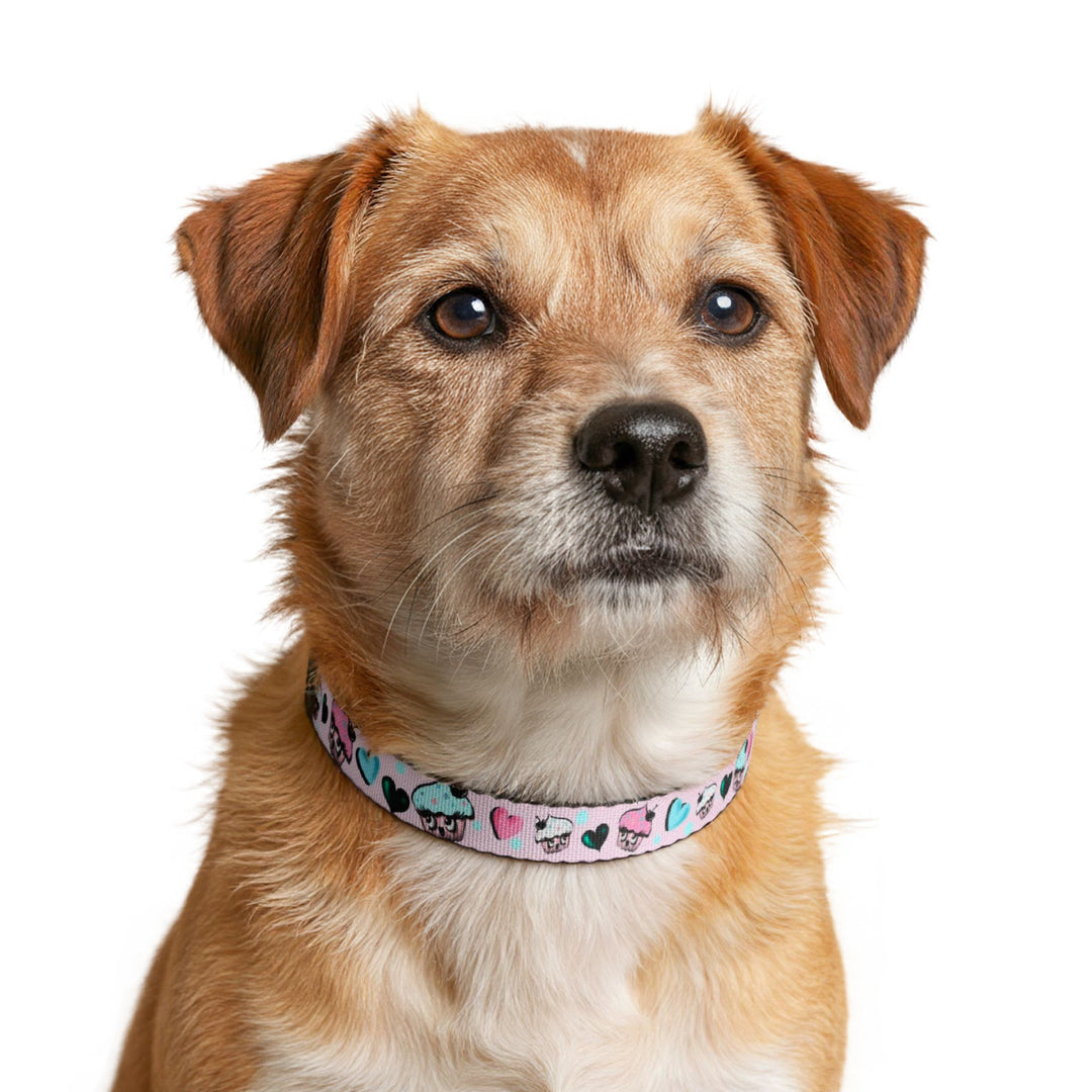 Cupcakes on Pink • Clip-on Pet Collar